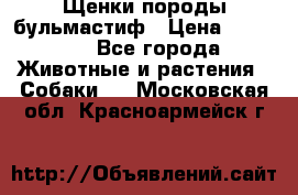 Щенки породы бульмастиф › Цена ­ 25 000 - Все города Животные и растения » Собаки   . Московская обл.,Красноармейск г.